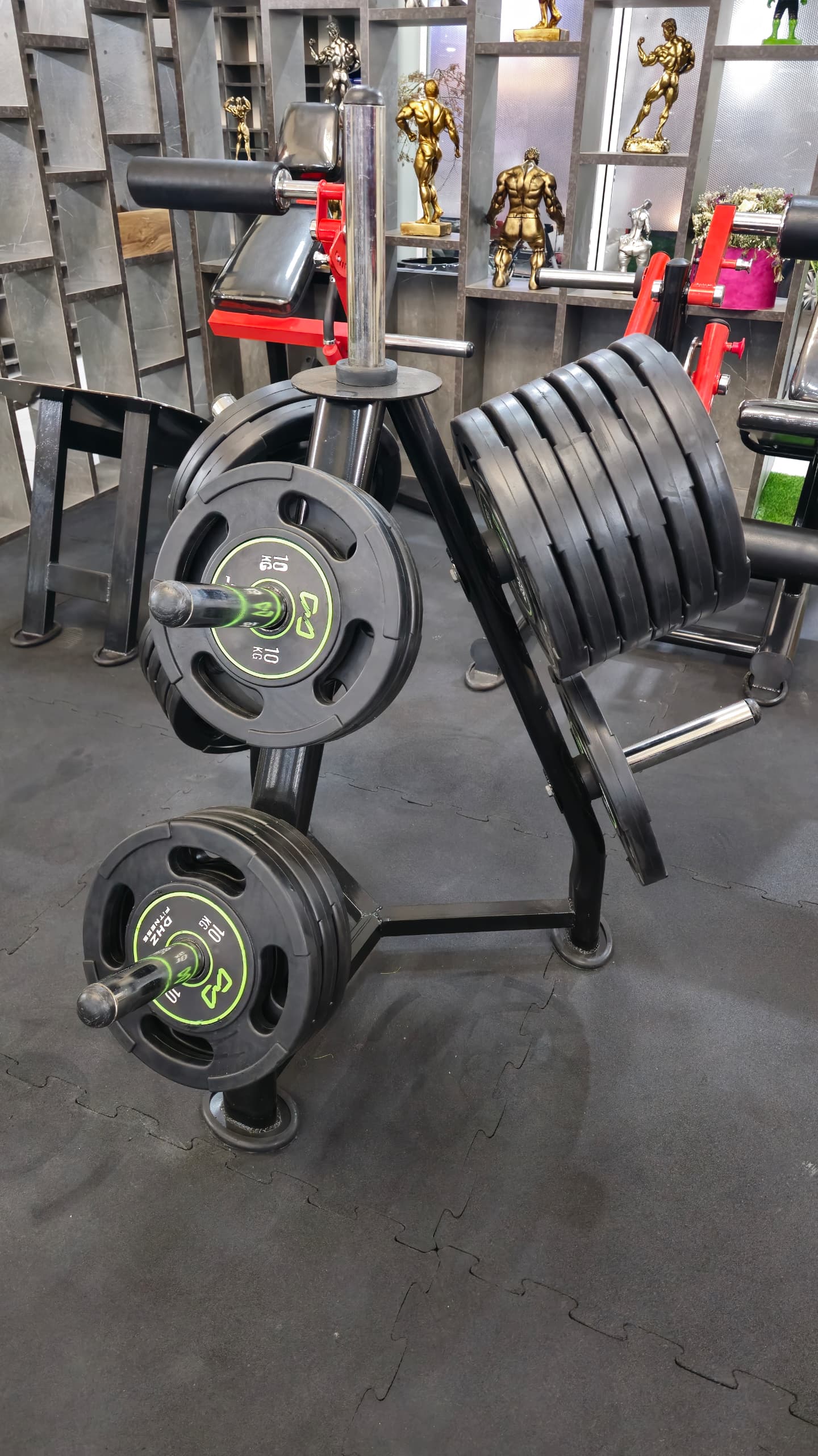 استند صفحه هالتر