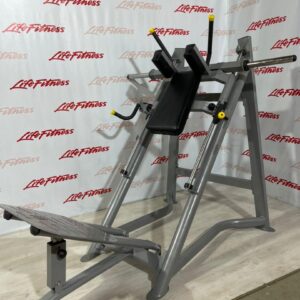 هاگ پا ریلی