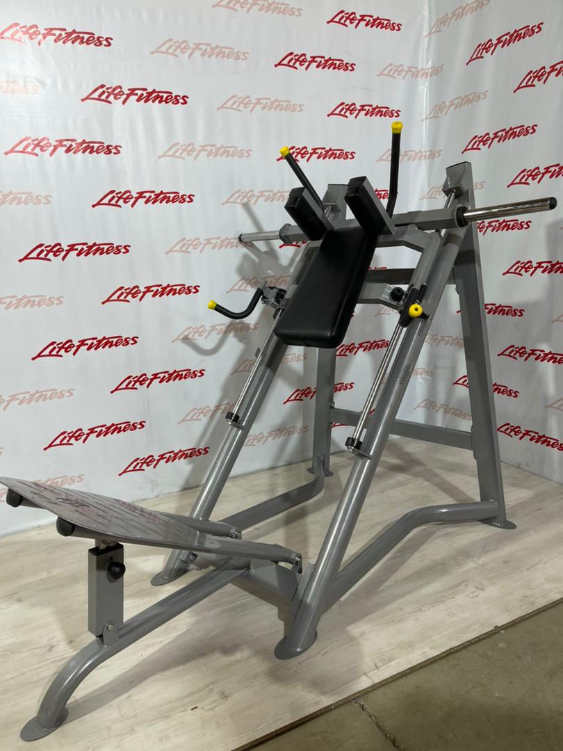 هاگ پا ریلی